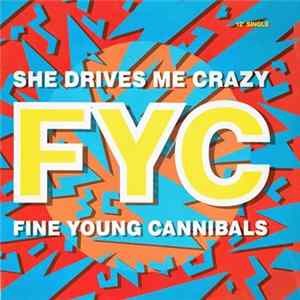 Fine Young Cannibals - She Drives Me Crazy FLAC album