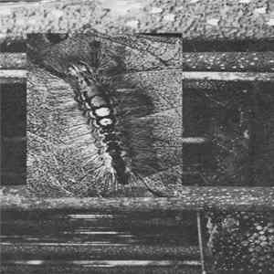 Quack Quack - Umbilical Scum Cord FLAC album
