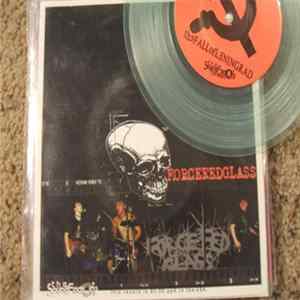 Forcefedglass / The Fall Of Leningrad - Forcefedglass / The Fall Of Leningrad FLAC album
