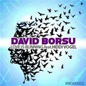 David Borsu - Love is Running FLAC album