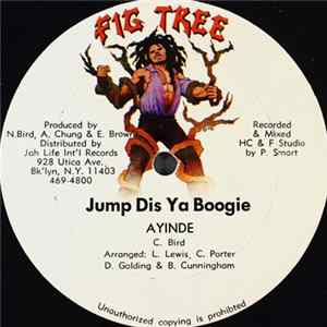 Ayinde - Jump Dis Ya Boogie FLAC album
