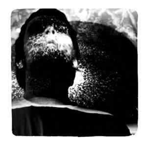 Barkitecture - Undercover Skulls FLAC album