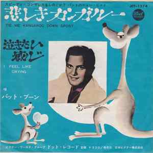 Pat Boone - Tie Me Kangaroo Down Sport FLAC album