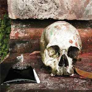 Various - The Gamelan Of The Walking Warriors : Gamelan Beleganjur and the Music of the Ngaben Funerary Ritual in Bali FLAC album