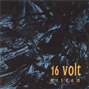 16 Volt - Wisdom FLAC album