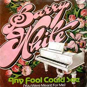 Barry White - Any Fool Could See (You Were Meant For Me) FLAC album