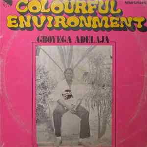 Gboyega Adelaja - Colourful Environment FLAC album