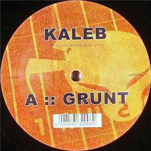 Kaleb - Grunt / Havoc FLAC album