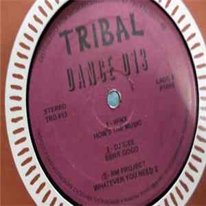 Various - Tribal Dance 13 FLAC album
