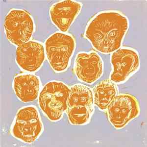 The Vitamin B12 - Can't Be Bothered To Play FLAC album