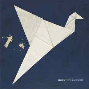 Yellow Teeth - Night Birds FLAC album