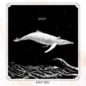 Knup Trio - Knup! FLAC album