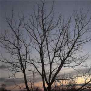 Lullabies Under A Grey Sky - Autumn FLAC album