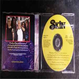 Skin - Perfect Day FLAC album