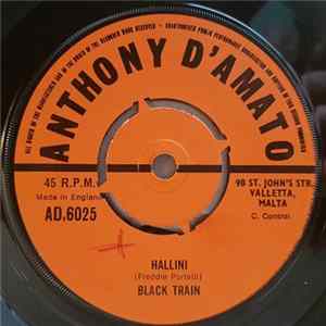 Black Train - Hallini / Ma Kellikk Tort FLAC album