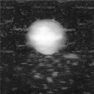 Mezzanine Swimmers - Black Cat In Heat FLAC album