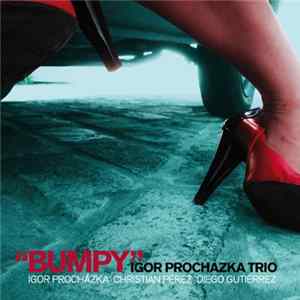 Igor Prochazka Trio - Bumpy FLAC album