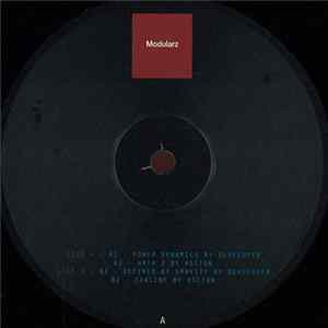 Developer / Ascion - Zenith Positions FLAC album