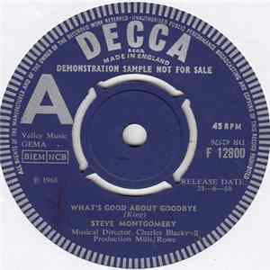 Steve Montgomery - What's Good About Goodbye FLAC album
