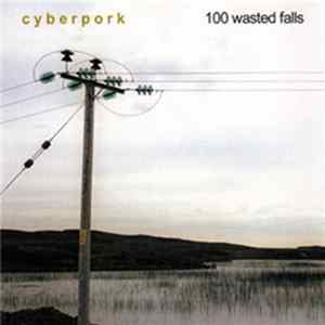 Cyberpork - 100 Wasted Falls FLAC album