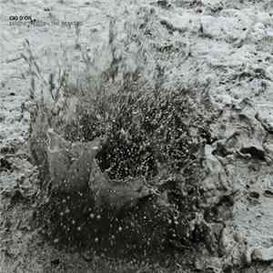 Cio D'or - Magnetfluss - The Remixes FLAC album