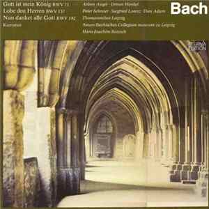 Bach - Thomanerchor Leipzig, Hans-Joachim Rotzsch - Kantaten FLAC album