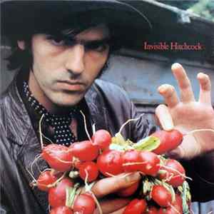Robyn Hitchcock - Invisible Hitchcock FLAC album