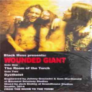 Wounded Giant - The Room Of The Torch/Dystheist FLAC album