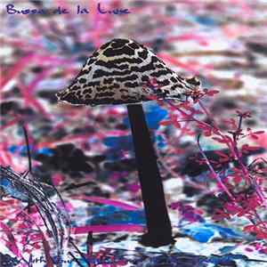 Busso De La Lune - With Your Ear Down To The Ground FLAC album