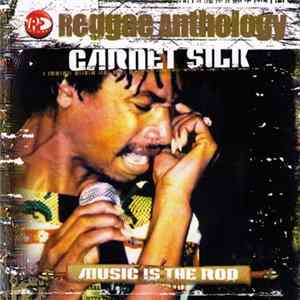 Garnet Silk - Music Is The Rod FLAC album