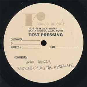 David Thomas And The Wooden Birds - Monster Walks The Winter Lake FLAC album