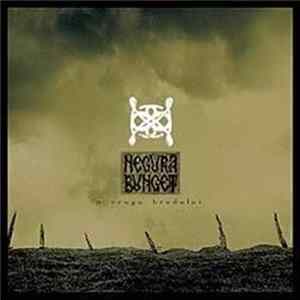 Negură Bunget - 'n Crugu Bradului FLAC album