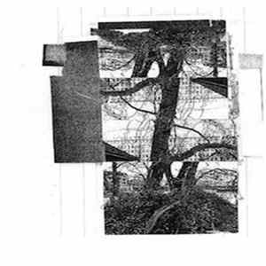 Vasco Alves & Louie Rice - Auto Collison FLAC album