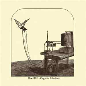 HoeHLE - Organic Interface FLAC album