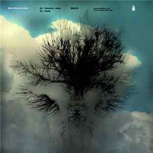 Karmacoda - Transitory Mini EP FLAC album