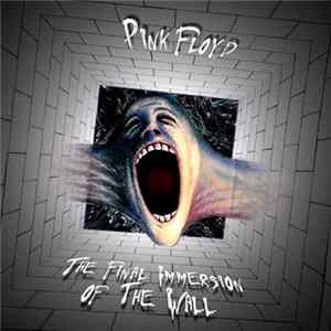 Pink Floyd - The Final Immersion of the Wall FLAC album