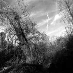 Harvey Milk - A Small Turn Of Human Kindness FLAC album