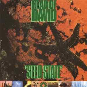 Head Of David - Seed State FLAC album