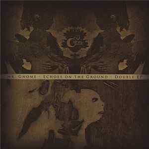 Mr. Gnome - Mr. Gnome / Echoes On The Ground FLAC album