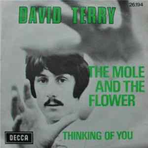 David Terry - The Mole And The Flower FLAC album