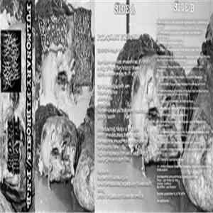 Pulmonary Fibrosis / Postmortem Neurofetish Bionecrosis - Pulmonary Fibrosis / P.N.B. FLAC album