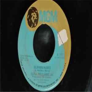 Hank Williams Jr. - Eleven Roses / Richmond Valley Breeze FLAC album