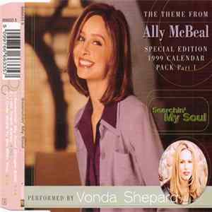 Vonda Shepard - Searchin' My Soul FLAC album
