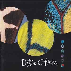Dixie Chicks - Fly FLAC album