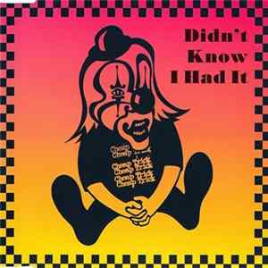 Cheap Trick - Didn't Know I Had It FLAC album