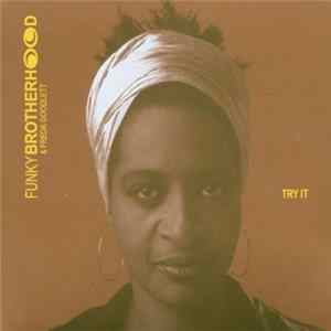 Funky Brotherhood - Try It FLAC album