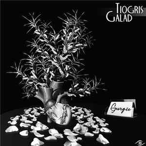 Tiogris - Georgie FLAC album