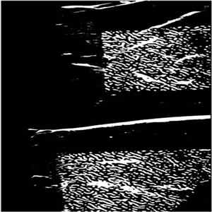 Marble Verse - Of Winds FLAC album