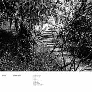 Echium - Synthetic Space FLAC album