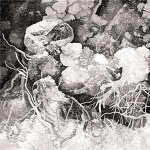 TOC - Will Never Play These Songs Again FLAC album